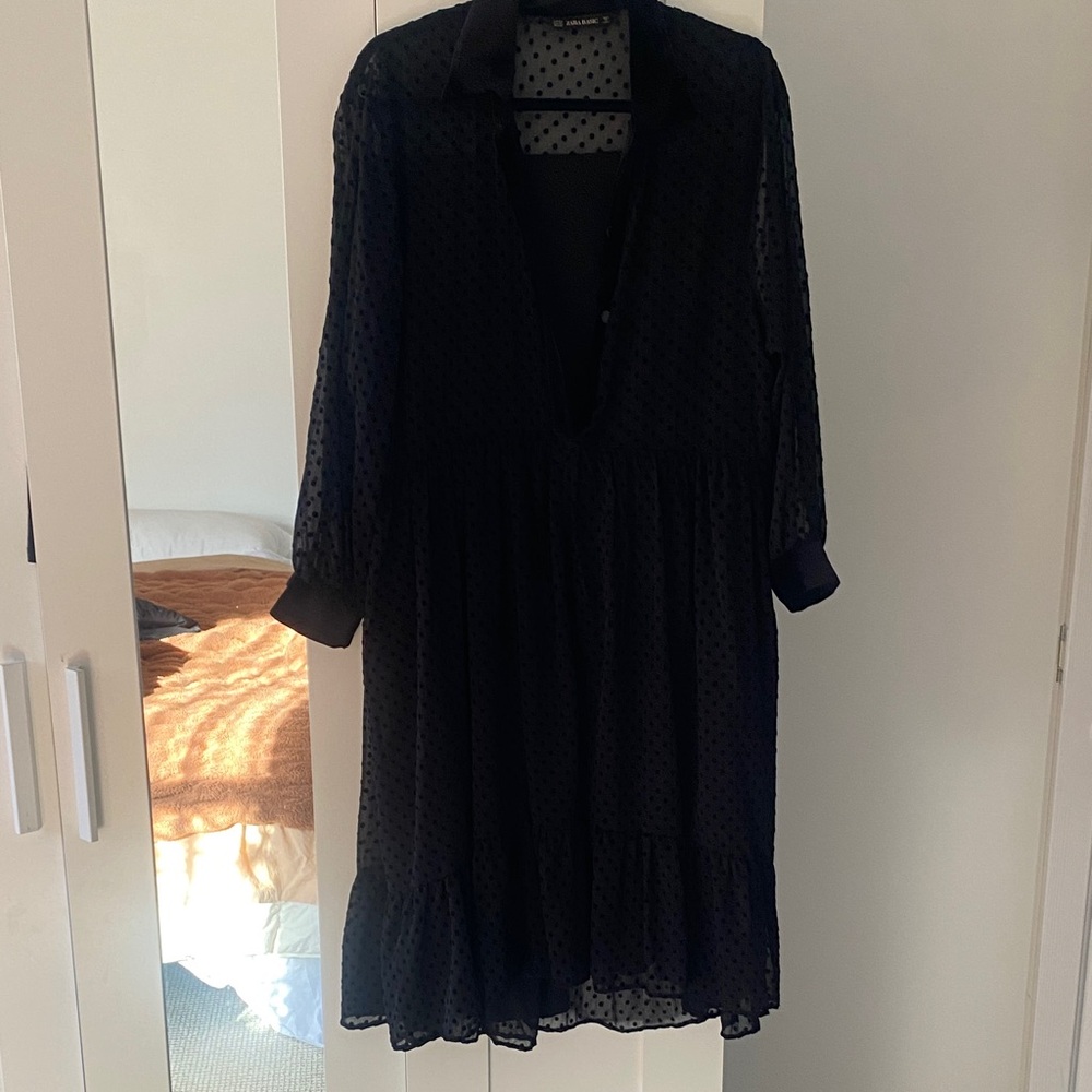 Zara Black Sheer Polka Dot Dress